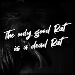 Achievement: The only good Rat is a dead Rat The only good Rat is a dead Rat
