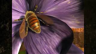 VideoImage1 Empire of the Ants (2000)